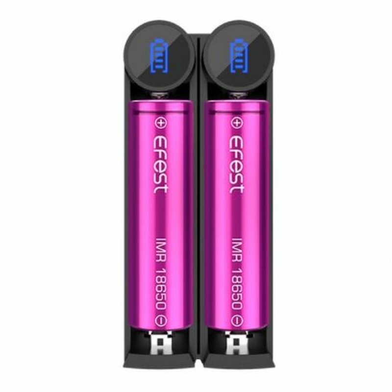 EFEST SLIM K2 - 2 Bay Travel Charger